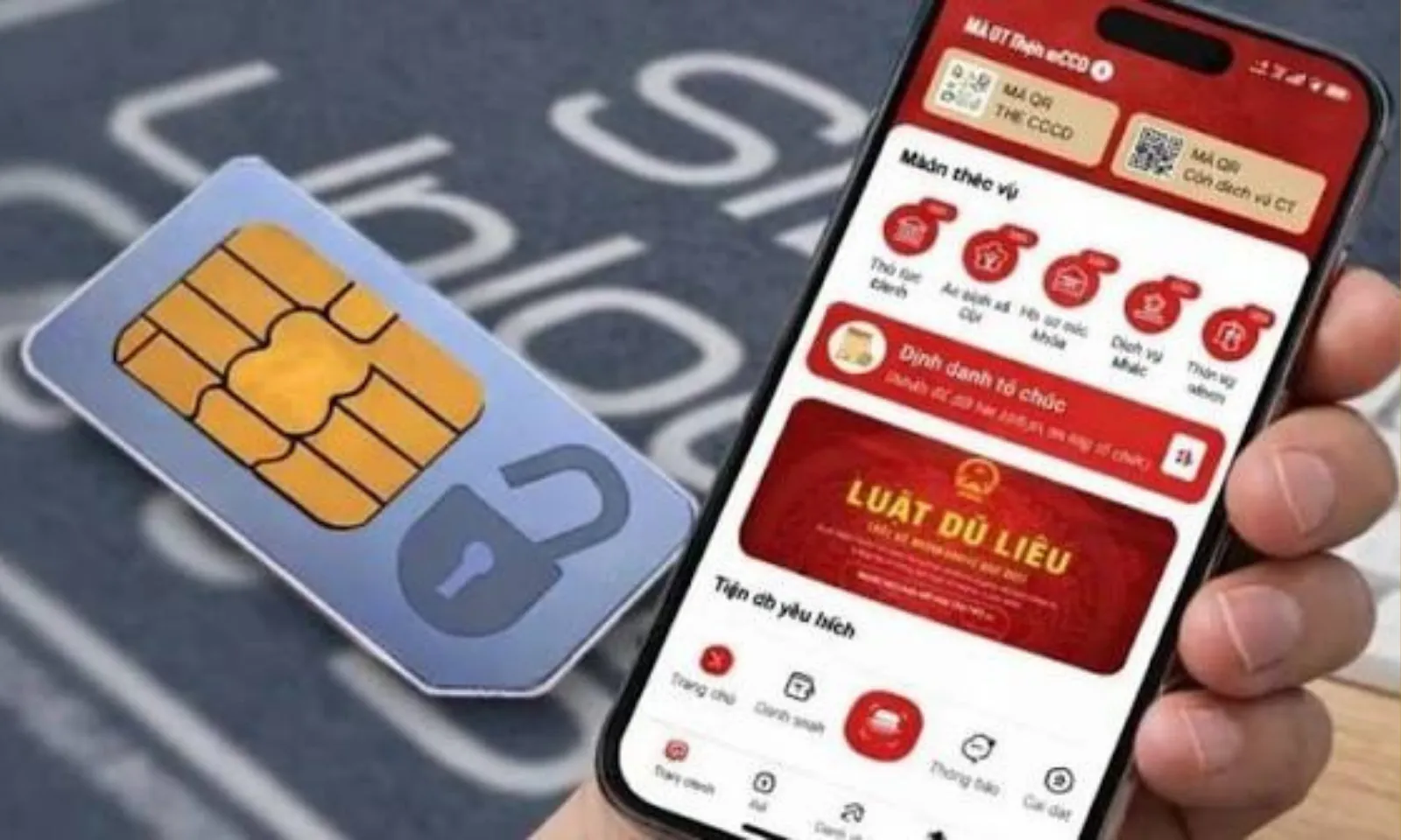Bản sao của thumb liên cầu lợn