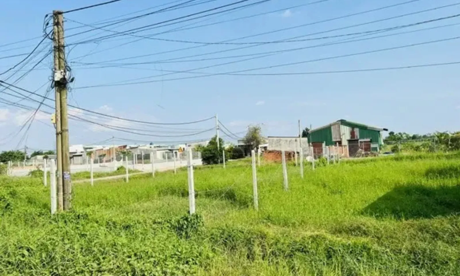 ảnh minh họa + thumb  - 1
