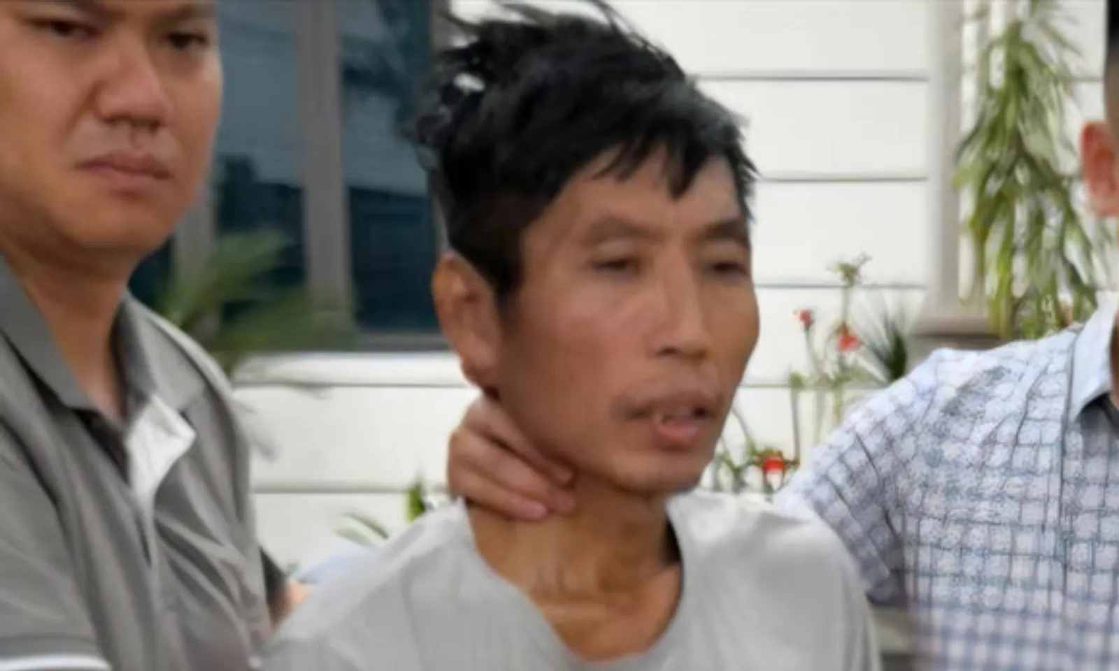 ảnh 6