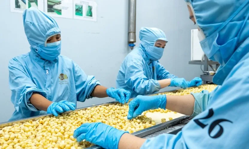Thay đổi tư duy “phế phẩm”, mở khóa giá trị mới cho nông sản Việt