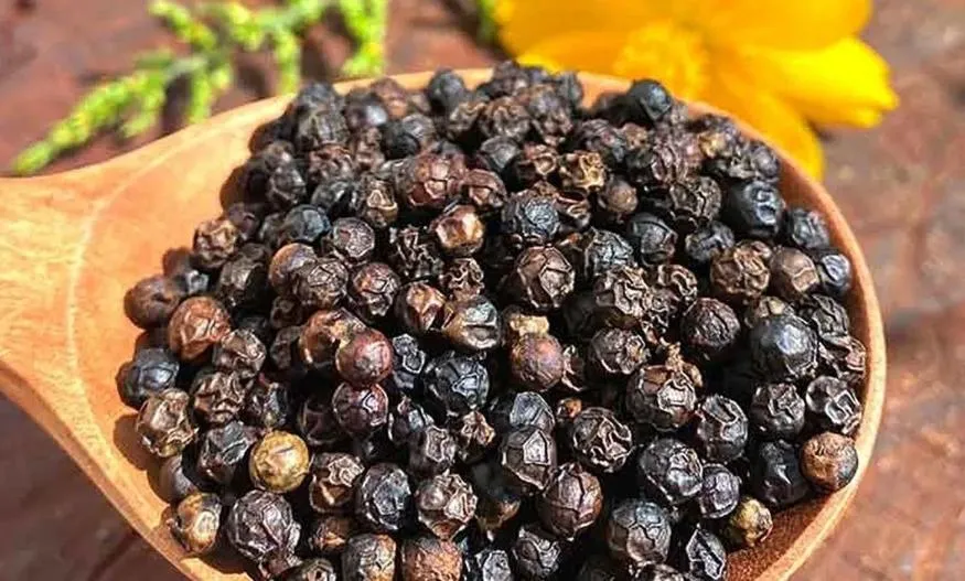 Ảnh chụp màn hình (1040)