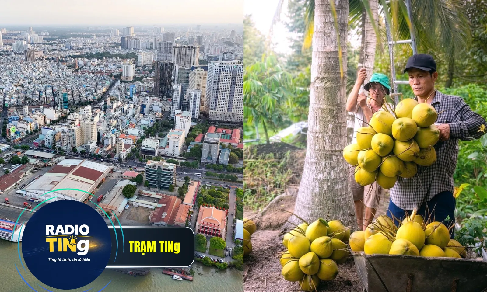 Điểm tin chiều 26/6: TP.HCM khởi công công viên Bến Nhà Rồng ngày 1/7 | Nhiều loại trái cây ở miền Tây giảm giá mạnh