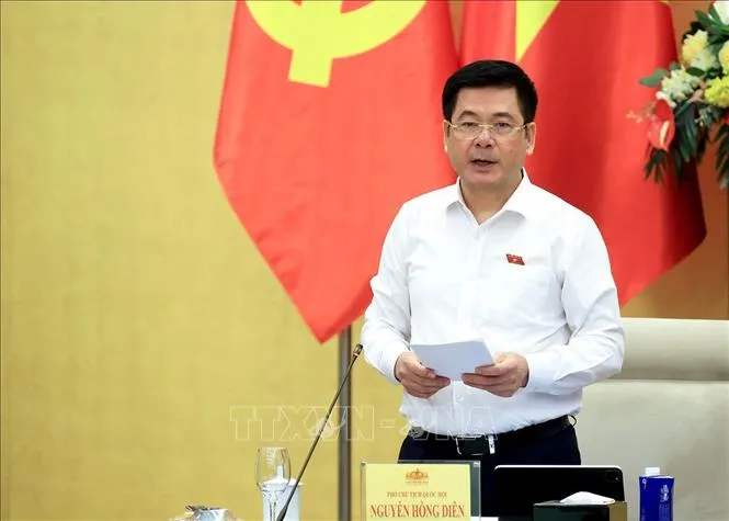 Phó Chủ tịch Quốc hội Nguyễn Hồng Diên phát biểu. Ảnh: Tuấn Anh/TTXVN
