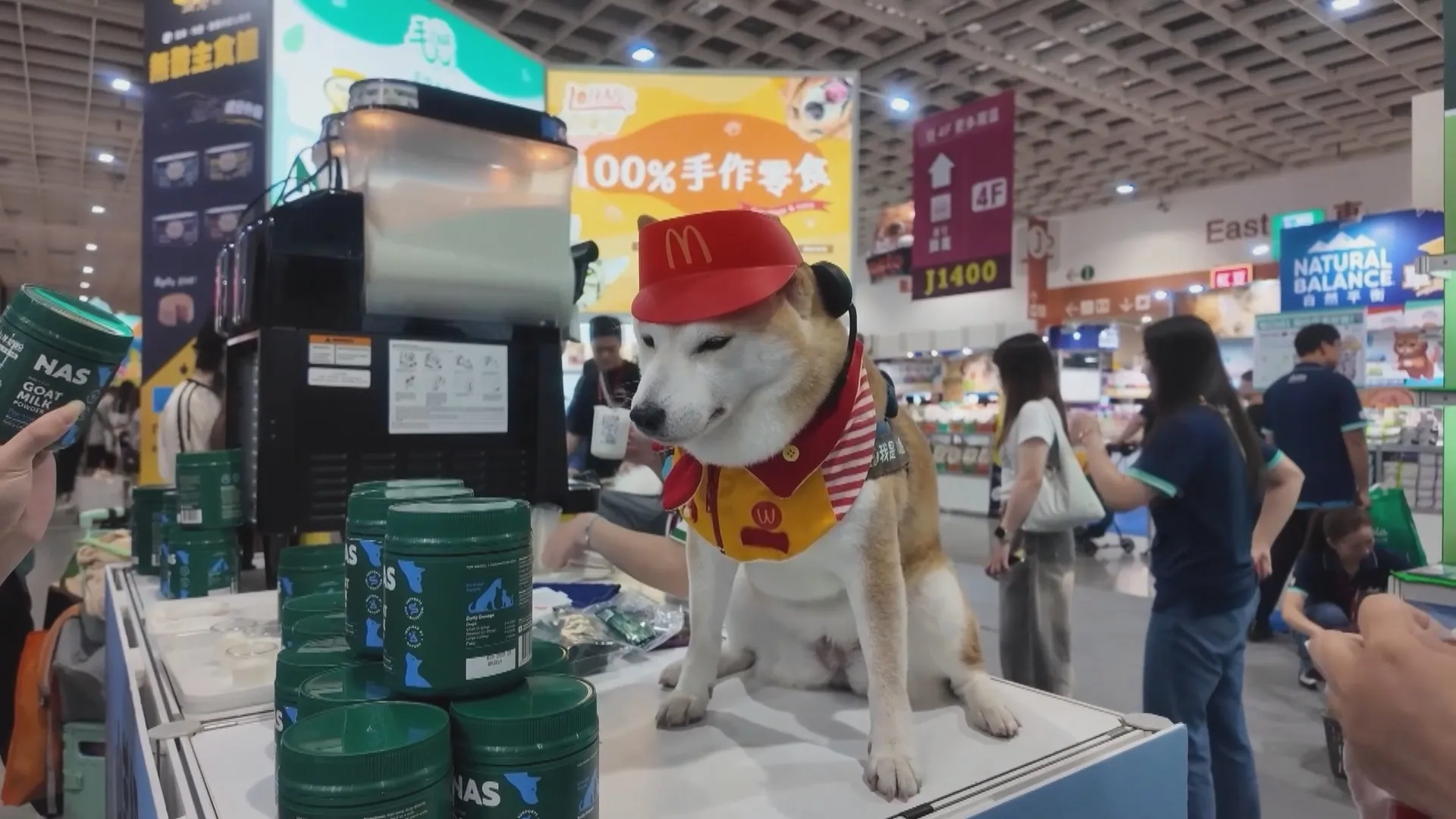 Ngoài các sản phẩm công nghệ dành cho thú cưng, triển lãm còn bố trí khu vui chơi, đường đua vượt chướng ngại vật và các cuộc thi dành cho vật nuôi
