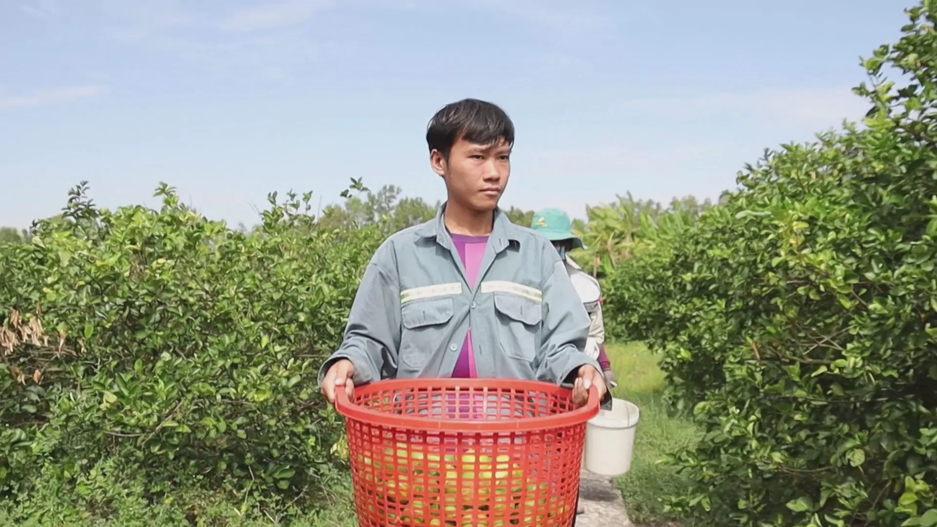 Đầu tư vùng nguyên liệu, chế biến và truy xuất nguồn gốc góp phần nâng cao năng lực cạnh tranh của nông sản Việt trên thị trường quốc tế