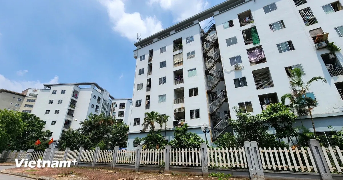 Chính phủ quy định 22 trường hợp được miễn thuế thu nhập cá nhân