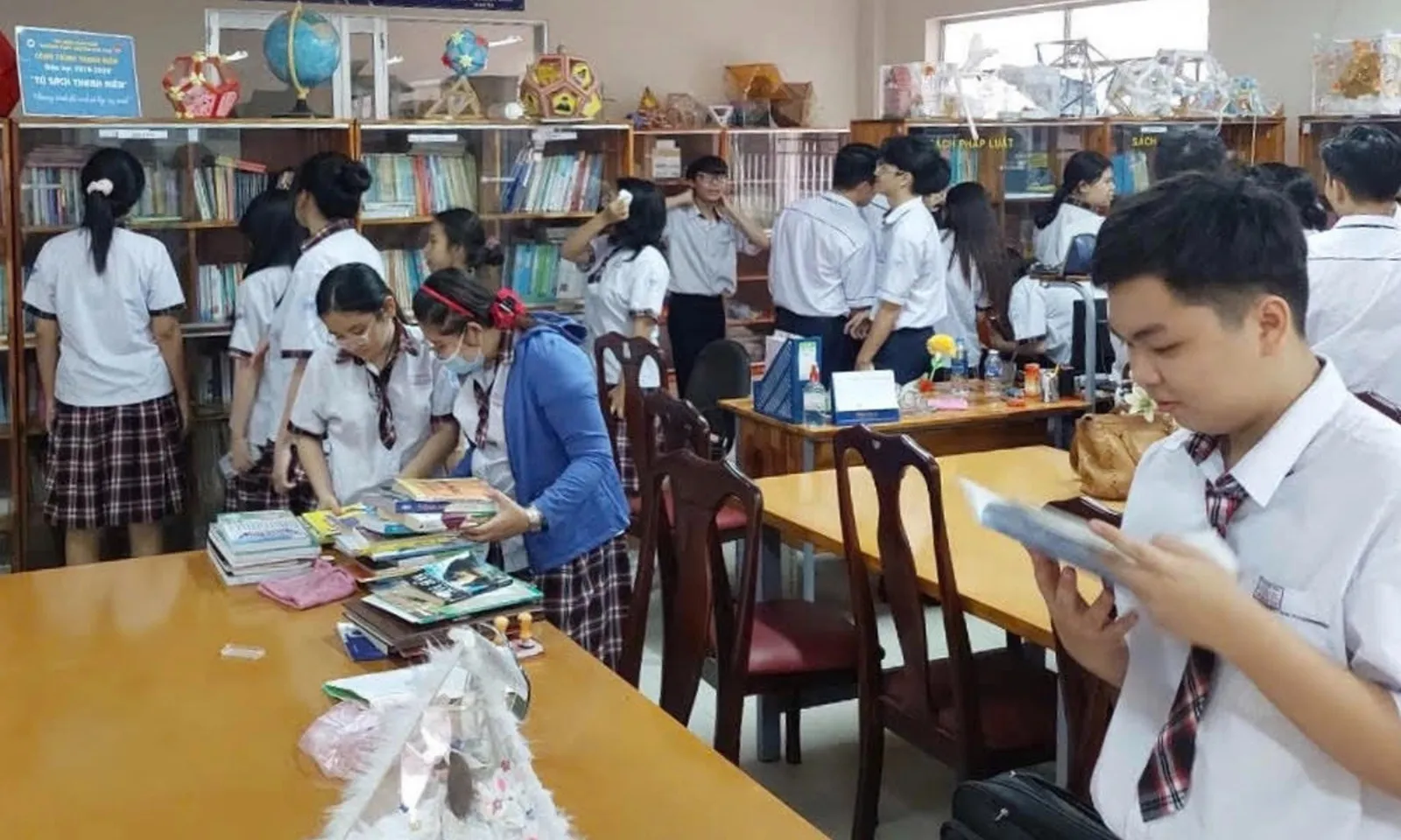 Bản sao của thumb liên cầu lợn
