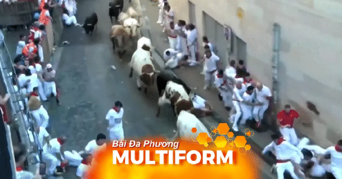 Tây Ban Nha: Khai mạc lễ hội bò rượt ở San Fermin