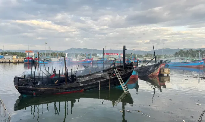 Điều tra nguyên nhân vụ cháy 8 tàu cá ở cảng Tam Quan - Ảnh 1.