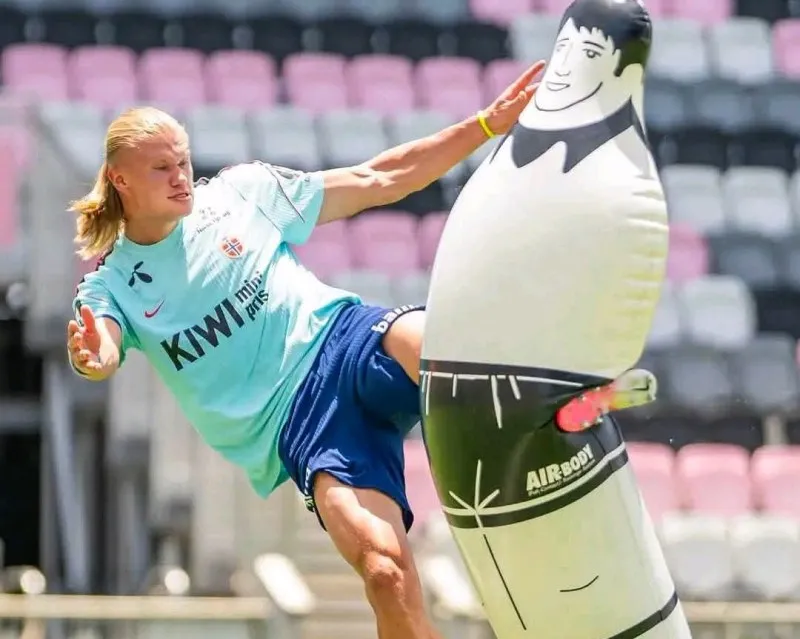 haaland-world-cup