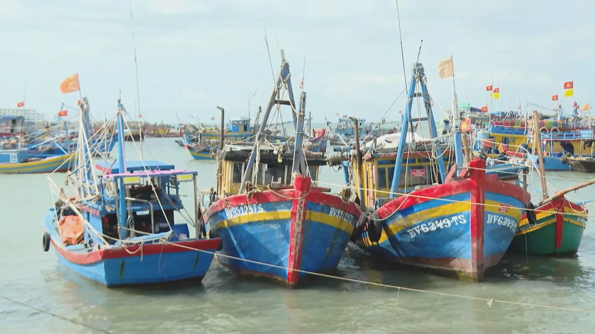 Chủ động gia cố khu neo động, sẵn sàng ứng phò mùa mưa bão  - Ảnh 1.