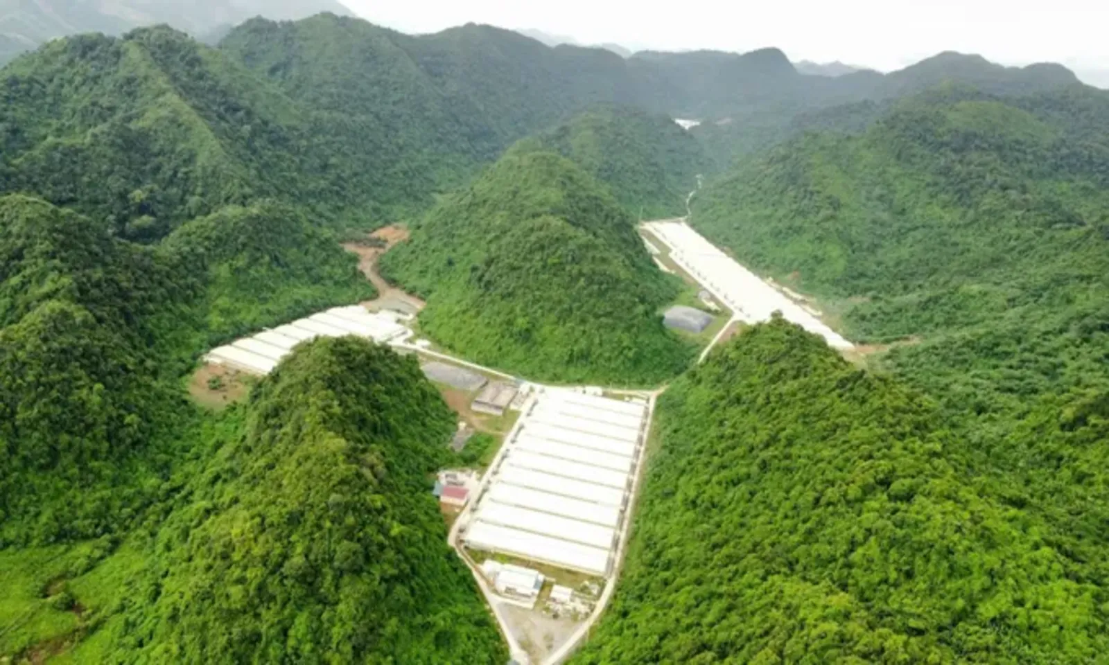 Thanh Hóa Tai nạn lao động tại trang trại khiến 5 người tử vong - Ảnh 1