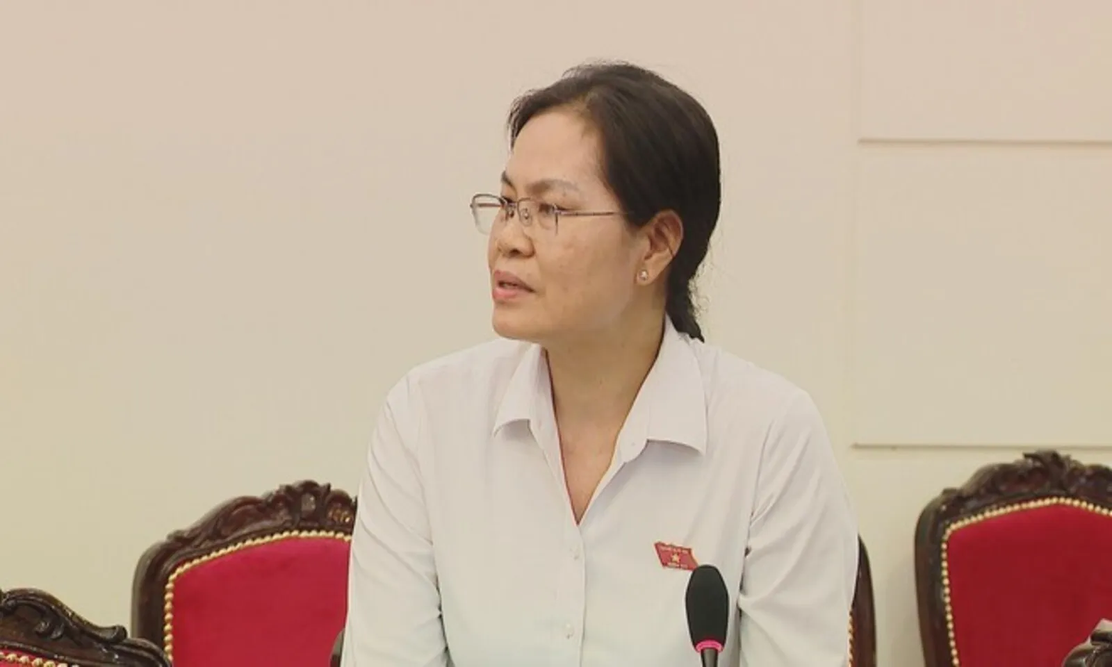 TP. Hồ Chí Minh góp ý hoàn thiện dự thảo Luật Phát triển đô thị - Ảnh 3