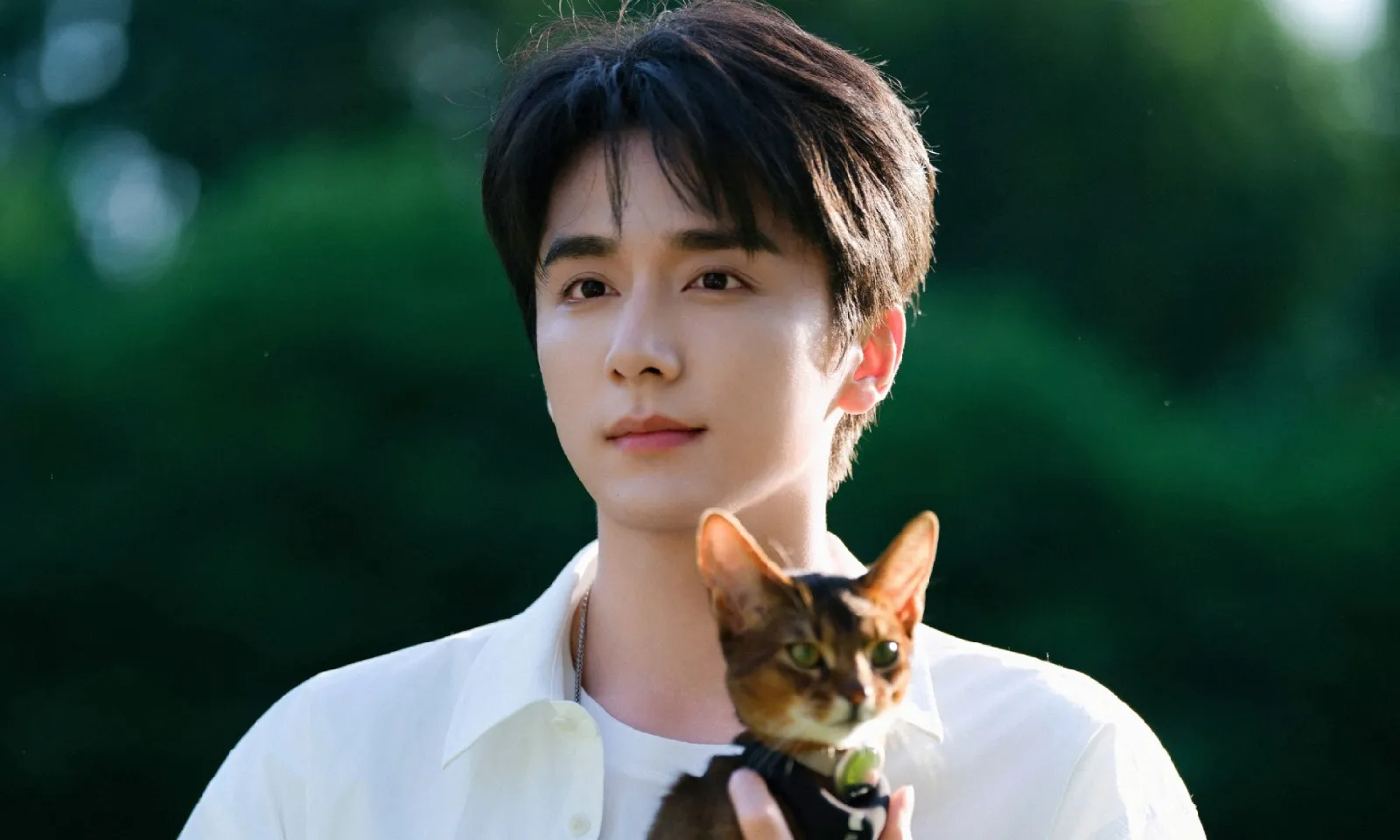 Article thumbnail 11