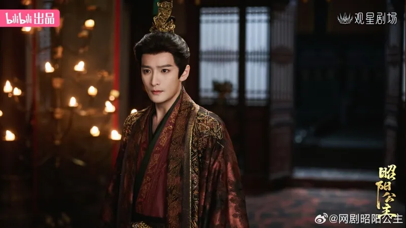 voh-phim-chieu-duong-cong-chua-cua-ly-hoanh-nghi-tong-tuyet-nhi-11