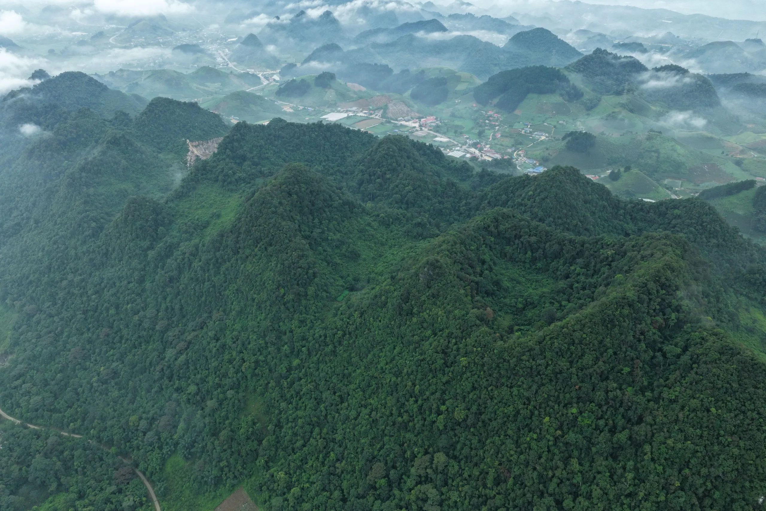 1-sau-hai-nam-trien-khai-tu-2024-chuong-trinh-gop-la-va-rung-da-phuc-hoi-150-ha-rung-tu-nhien-gieo-trong-hon-95