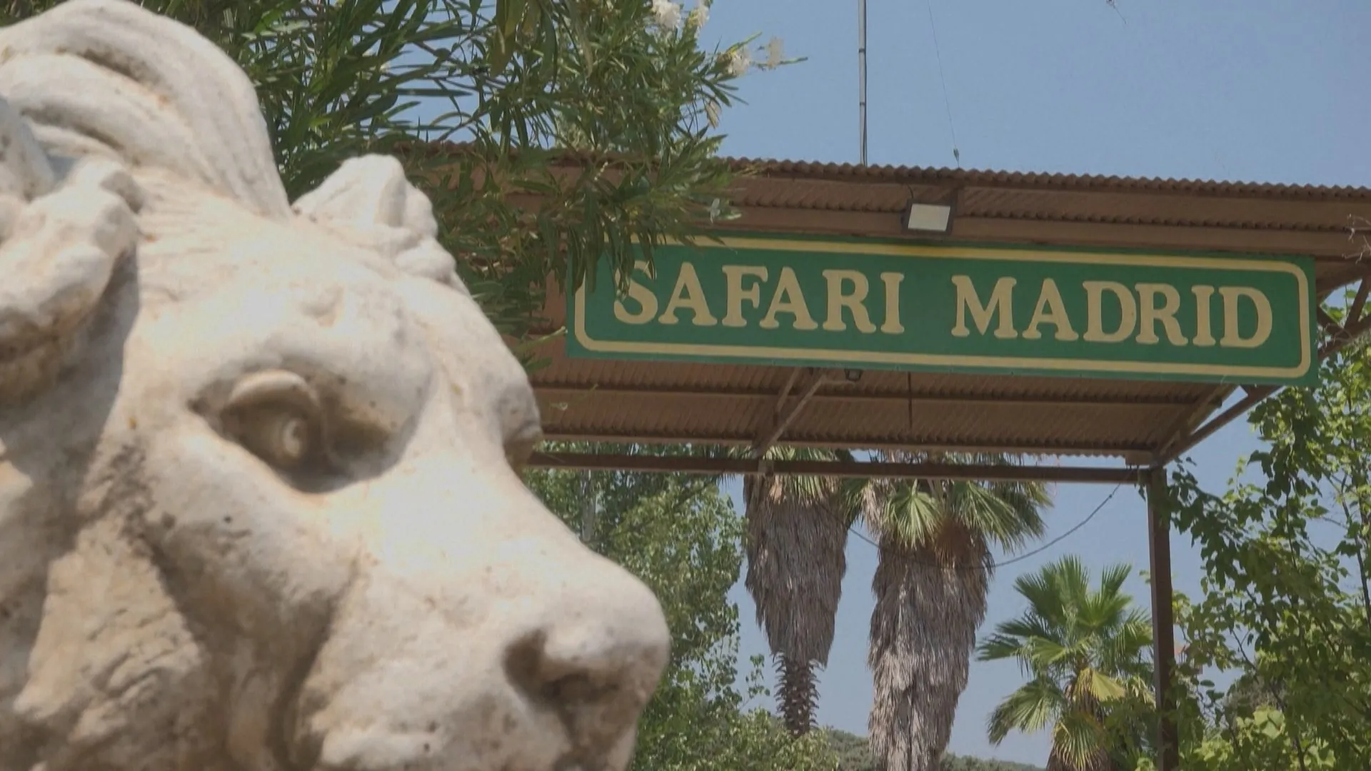 Vườn thú Safari Madrid bảo vệ an toàn hơn 2.000 động vật giữa cháy rừng- Ảnh 2. Vườn thú Safari Madrid bảo vệ an toàn hơn 2.000 động vật giữa cháy rừng- Ảnh 2.