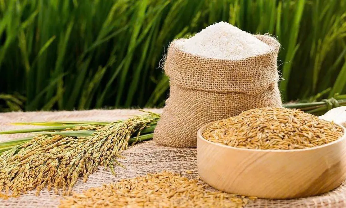 Giá lúa gạo ngày 30/7: Giá gạo nguyên liệu tăng, giá lúa ổn định