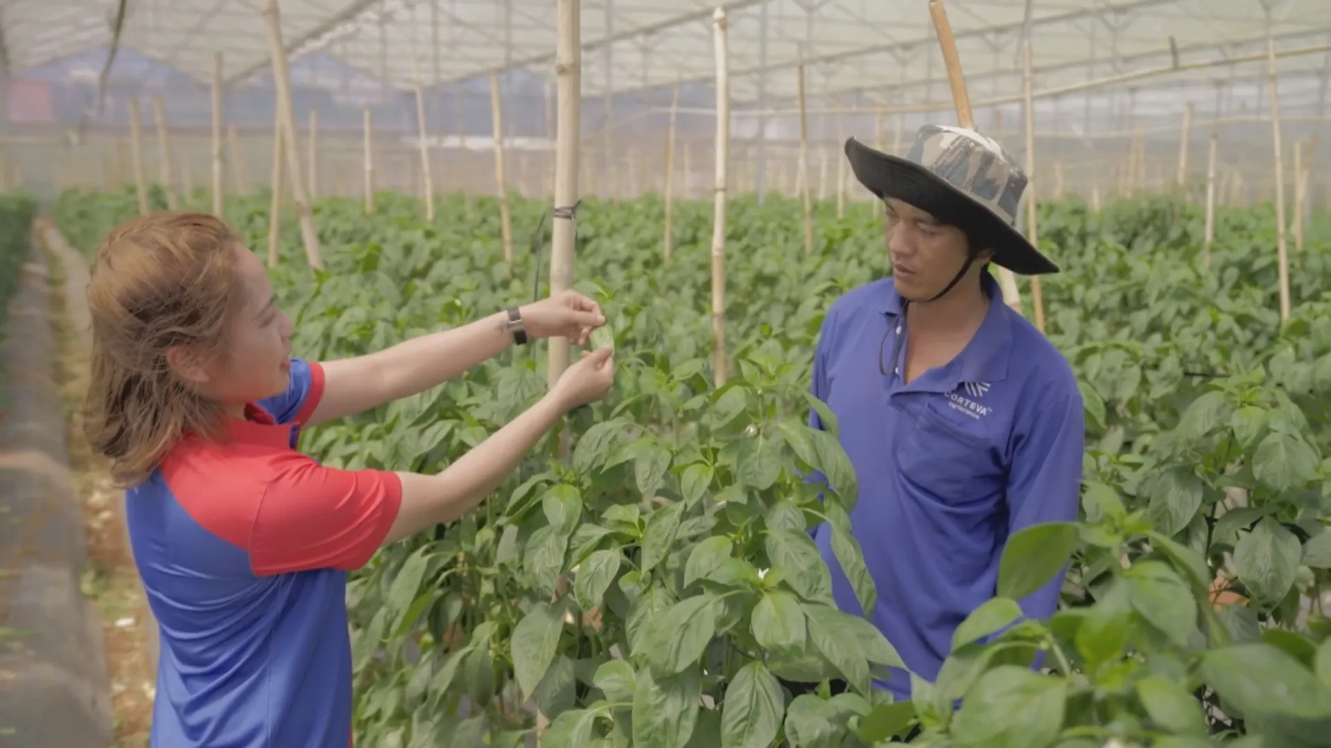 TP. Hồ Chí Minh nhân rộng “Tick xanh trách nhiệm”, siết chặt an toàn thực phẩm - Ảnh 9.