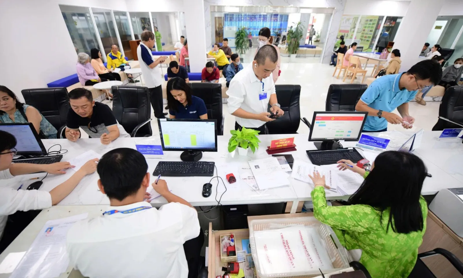 Bản sao của thumb liên cầu lợn