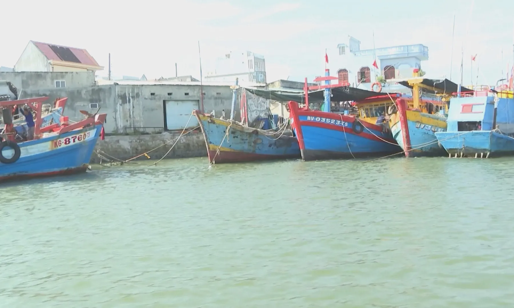 TP. Hồ Chí Minh quyết liệt gỡ “thẻ vàng” IUU