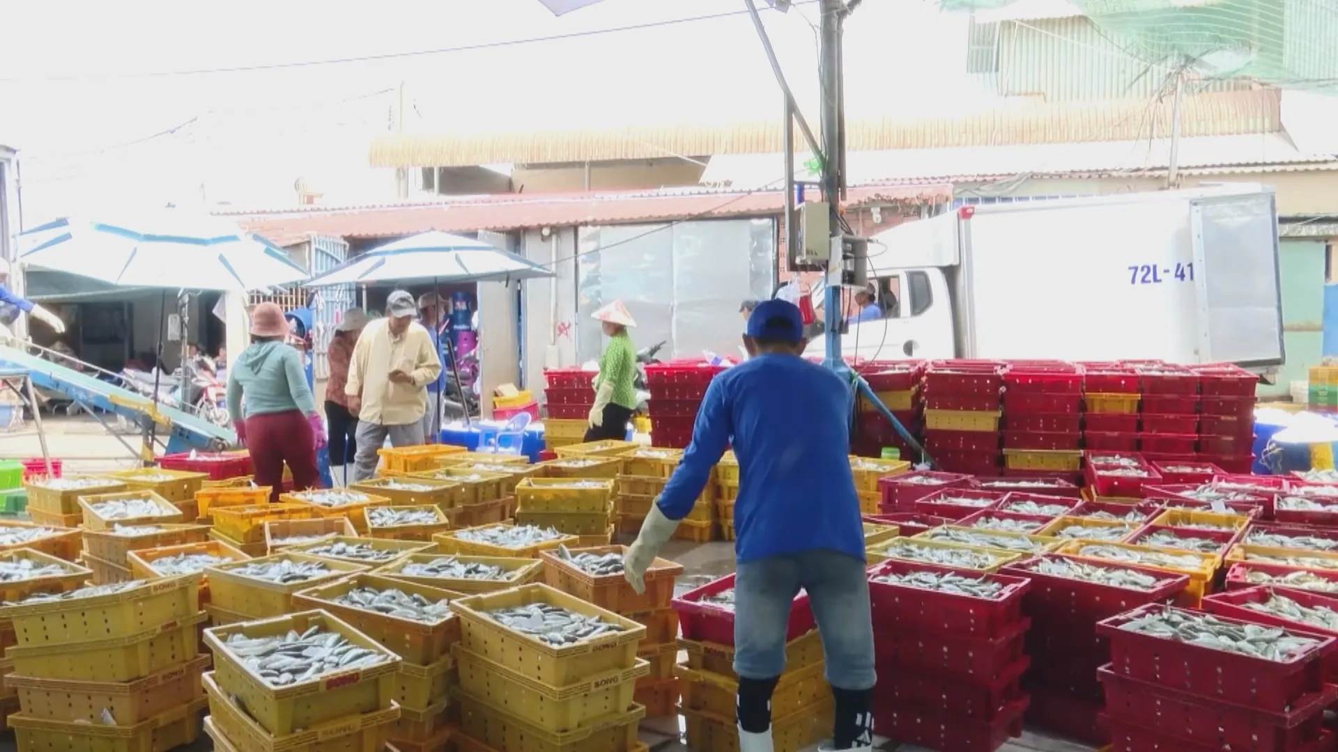 h3-TP. Hồ Chí Minh quyết liệt gỡ “thẻ vàng” IUU