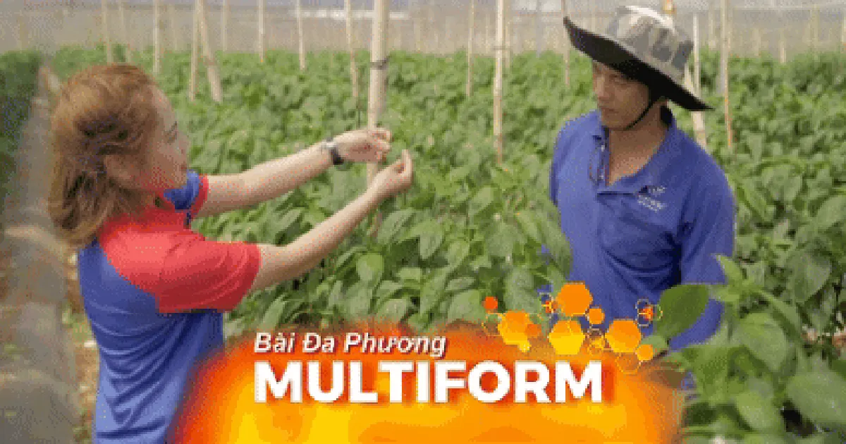 TP. Hồ Chí Minh nhân rộng “Tick xanh trách nhiệm”, siết chặt an toàn thực phẩm