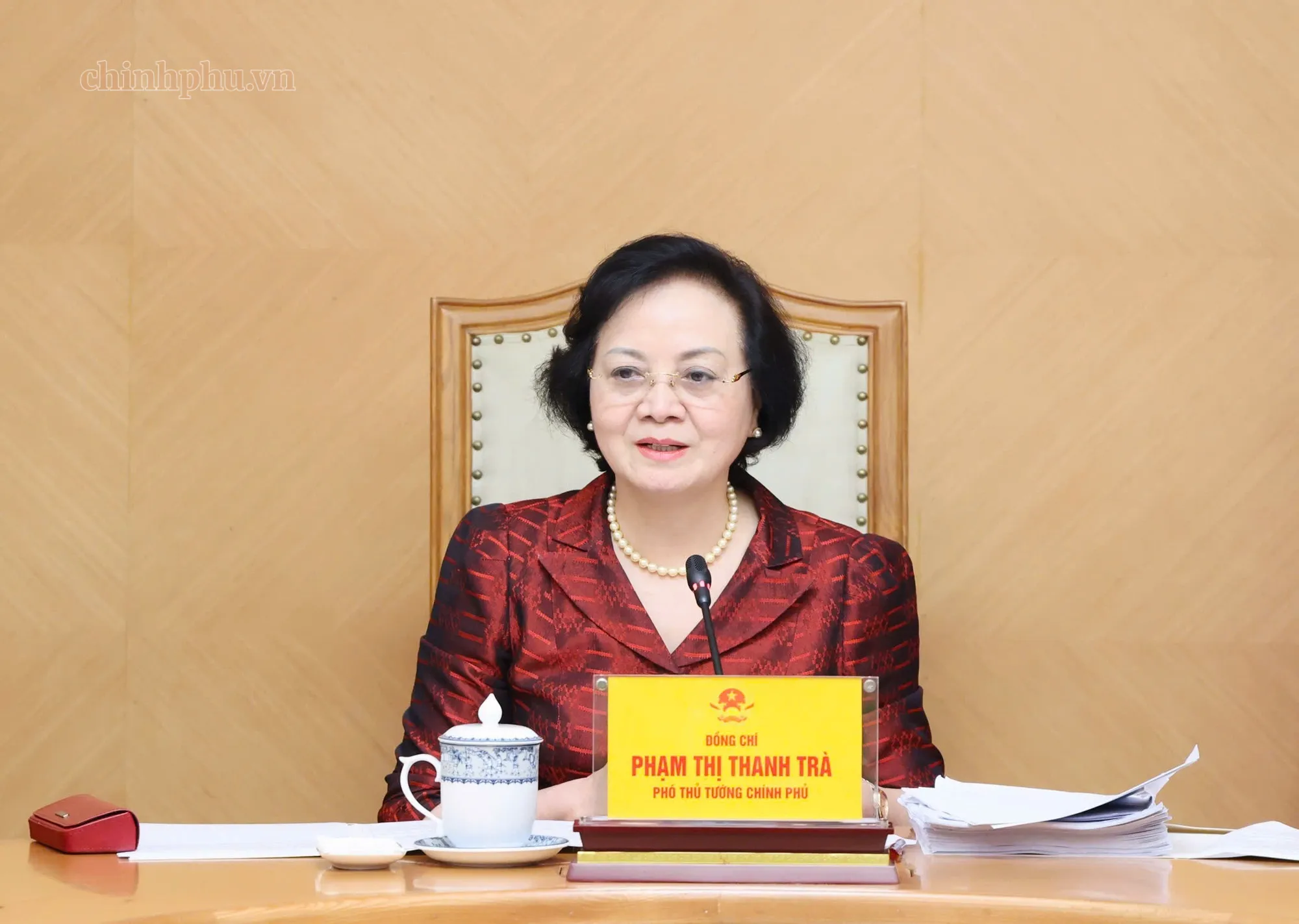 Phó Thủ tướng Phạm Thị Thanh Trà phát biểu tại cuộc họp - Ảnh Chính phủ