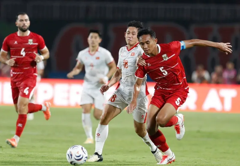 viet-nam-indonesia