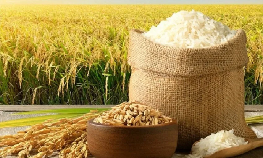 Giá lúa gạo ngày 6/8: Giá lúa tươi đồng loạt tăng, giá gạo ổn định