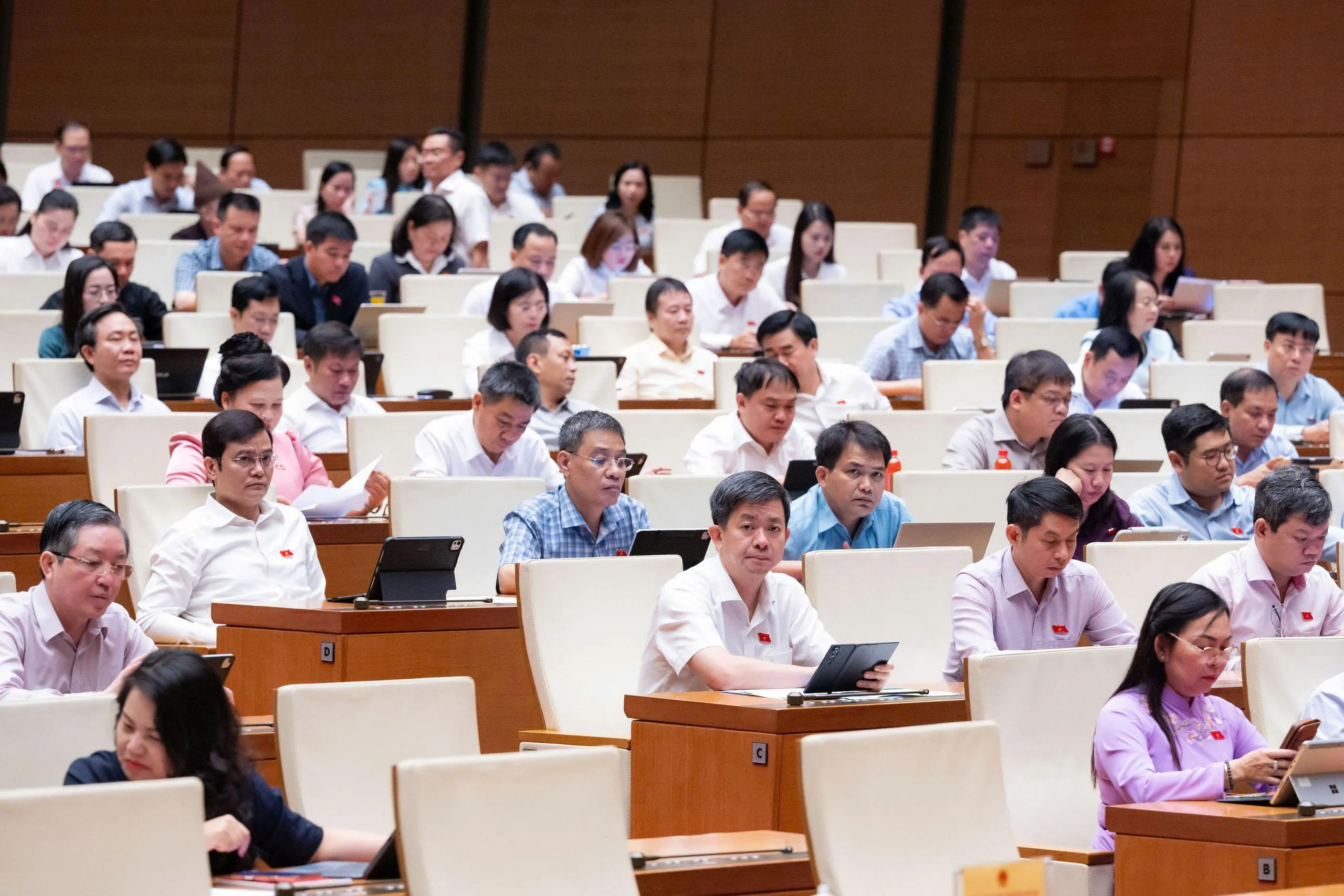 Các đại biểu tham gia Phiên họp toàn thể ở Hội trường-h2