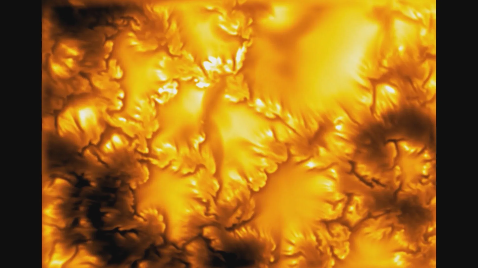 b1-1786170812198694408650