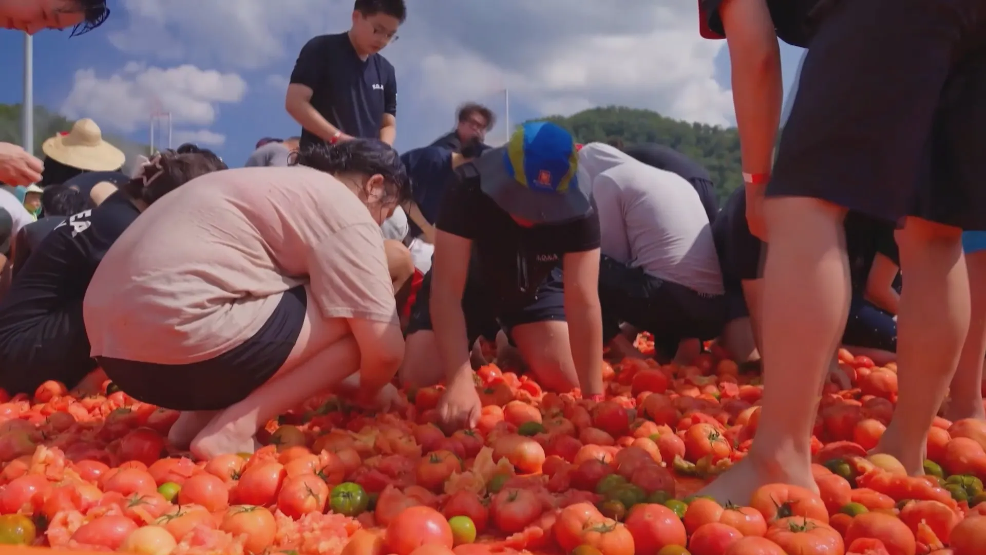 Hàn Quốc: Săn nhẫn vàng giữa “biển” cà chua - Ảnh 3. Hàn Quốc: Săn nhẫn vàng giữa “biển” cà chua - Ảnh 3.
