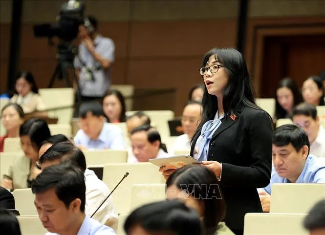 Đại biểu Quốc hội tỉnh Lâm Đồng Trịnh Thị Tú Anh phát biểu (Ảnh: Tuấn Anh/TTXVN) Đại biểu Quốc hội tỉnh Lâm Đồng Trịnh Thị Tú Anh phát biểu (Ảnh: Tuấn Anh/TTXVN)