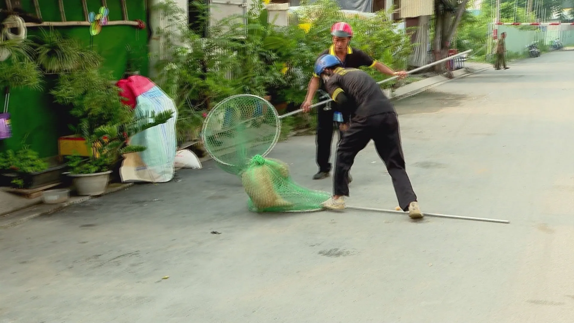 h4-Quyết liệt kiểm soát chó, mèo thả rông, ngăn nguy cơ bệnh dại