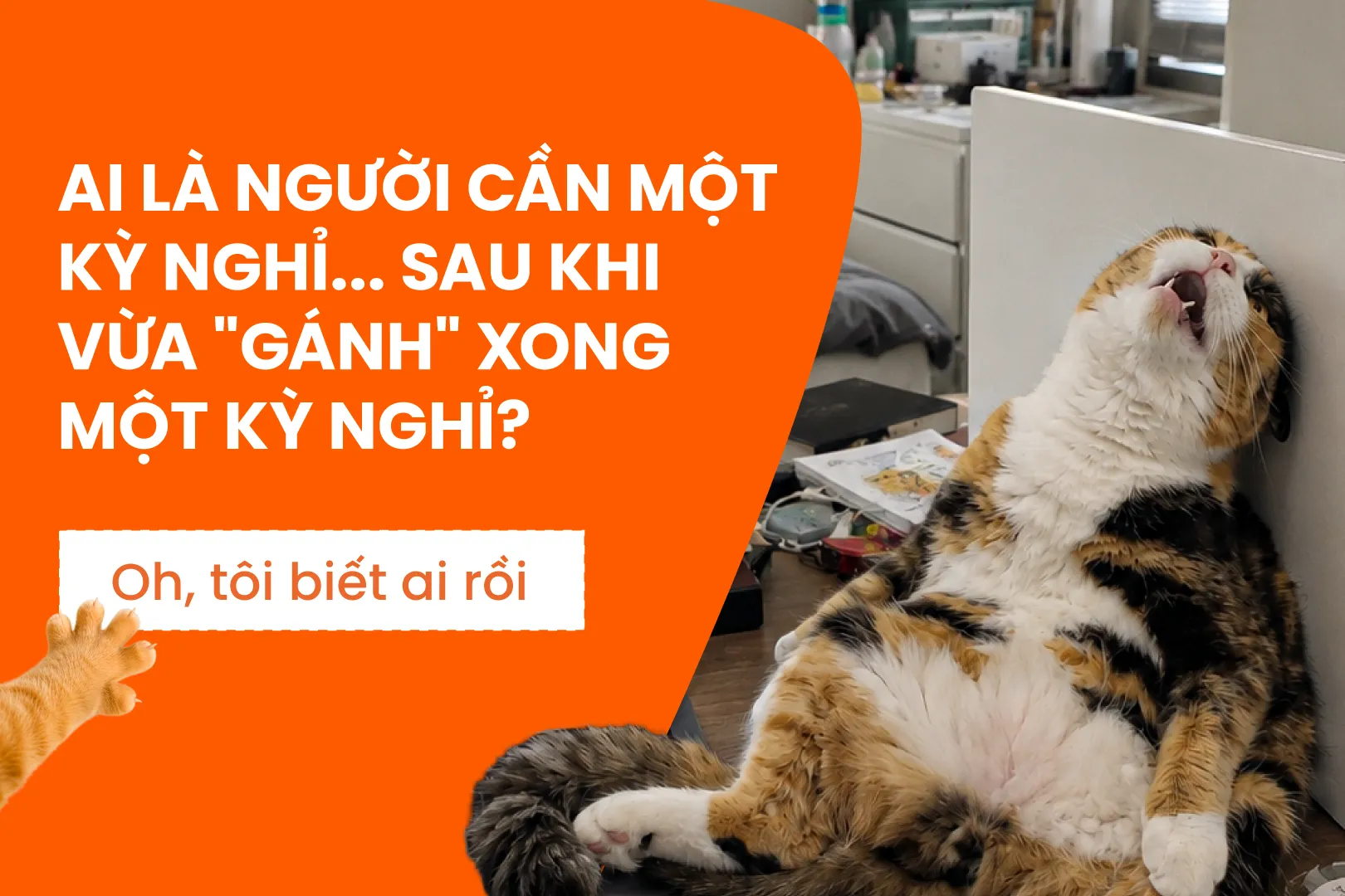 HÌNH 1