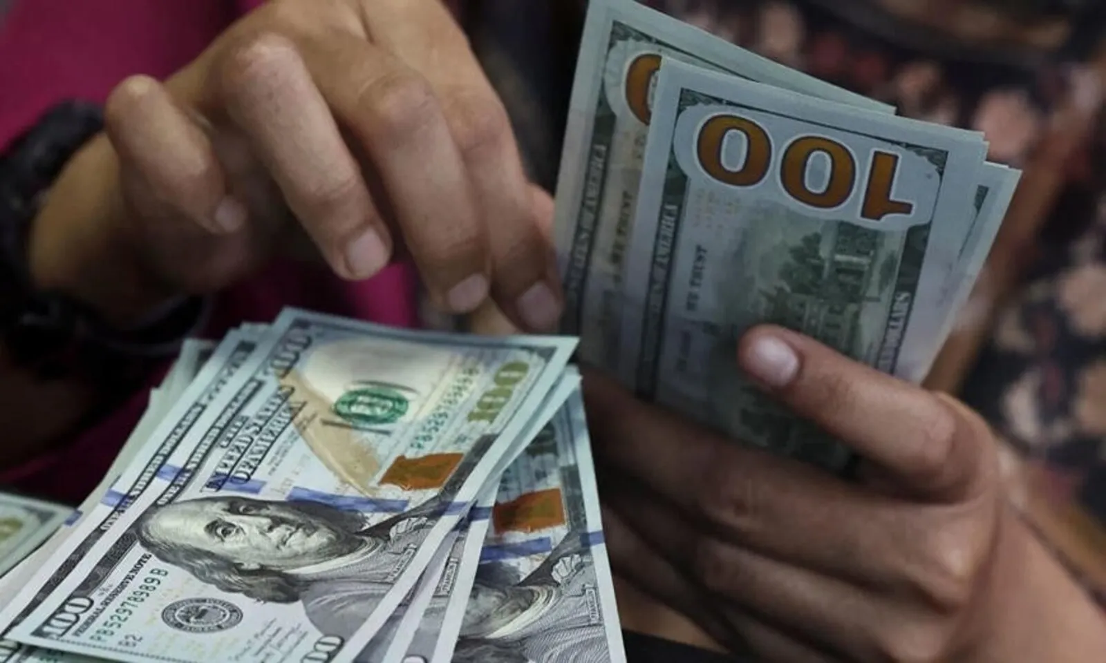 Tỷ giá ngoại tệ 11-8 USD niêm yết 26.350 đồngUSD - Ảnh 1