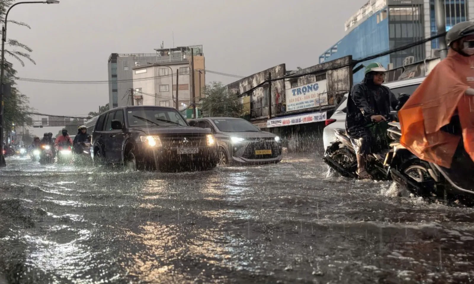 Bản sao của thumb liên cầu lợn