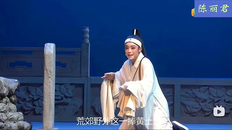 voh-tieu-su-tran-le-quan-10
