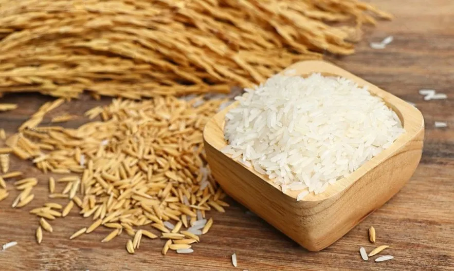 Giá lúa gạo ngày 13/8: Giá lúa gạo ít biến động
