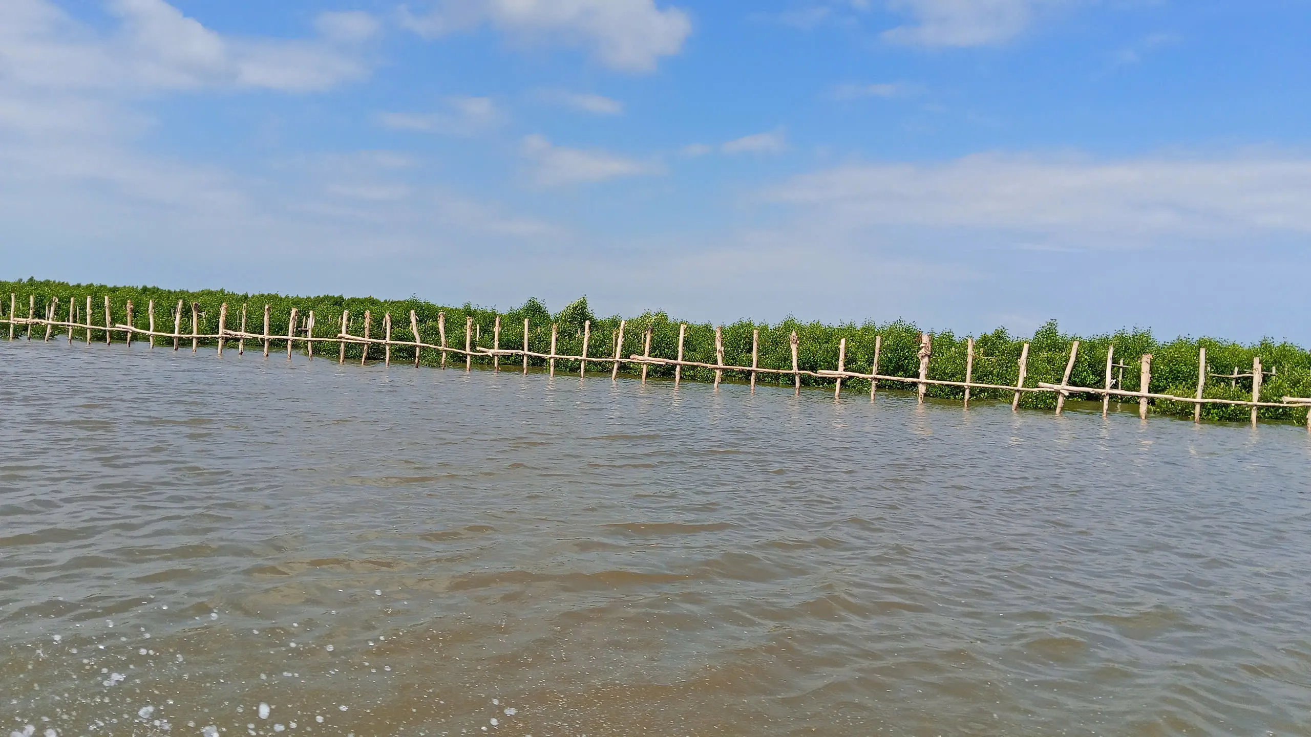 Cà Mau - Rừng nhập mặn