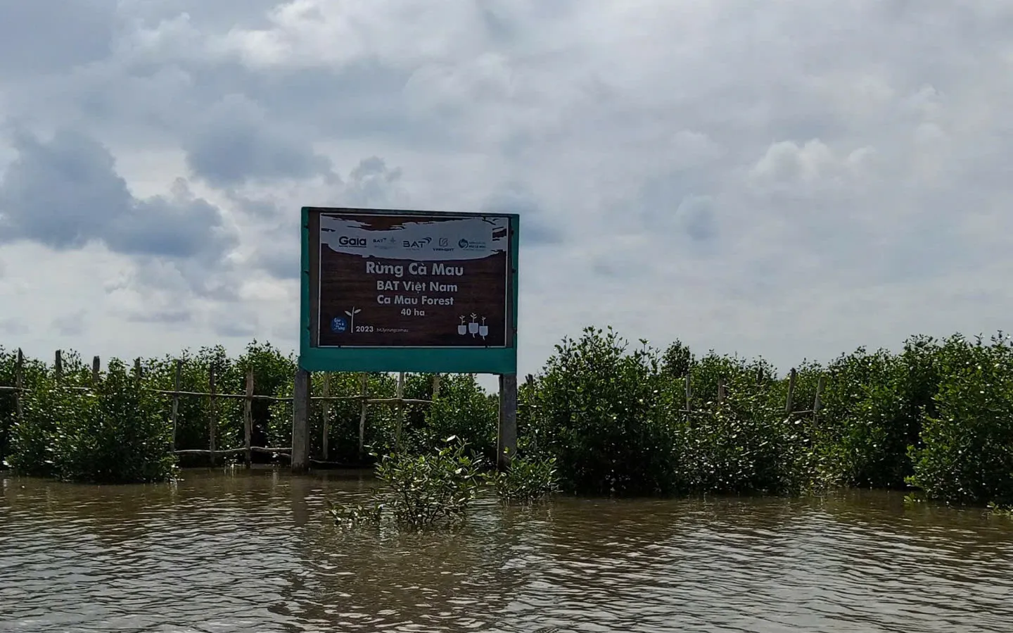 Cà Mau - Rừng nhập mặn-h3