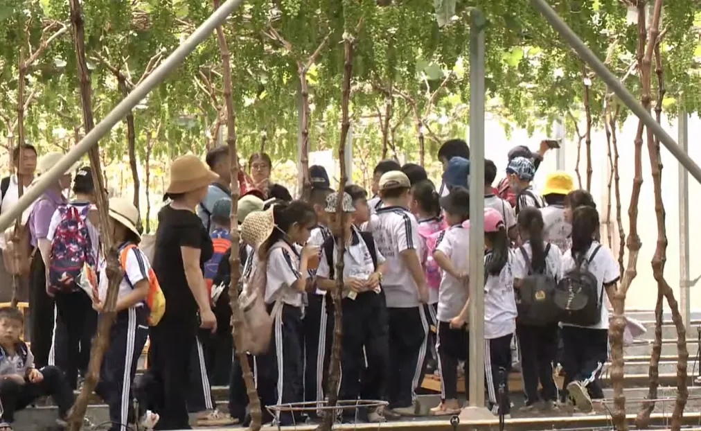 h19-Cùng HTV hành động xanh
