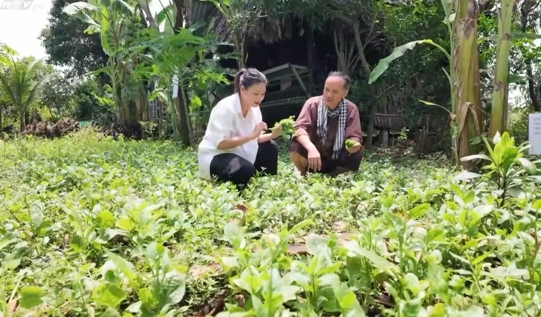 h23-Cùng HTV hành động xanh