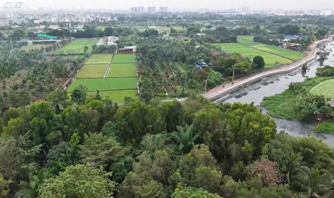 h8-Cùng HTV hành động xanh