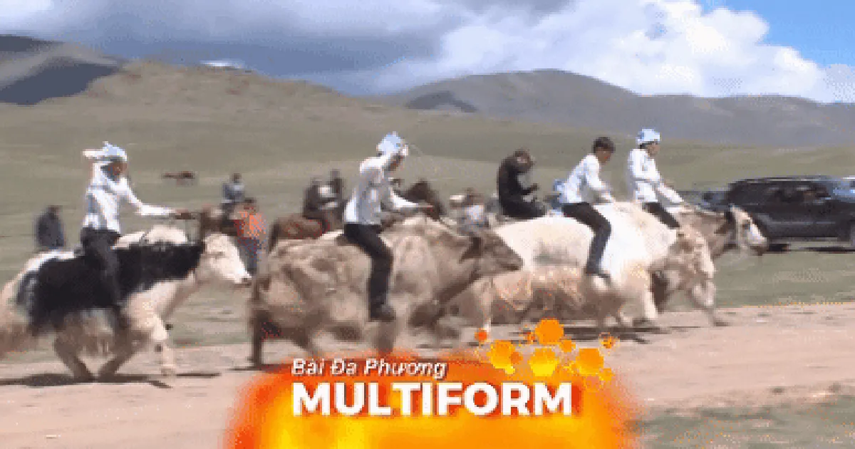 Cộng hòa Tuva tổ chức đua bò Tây Tạng truyền thống