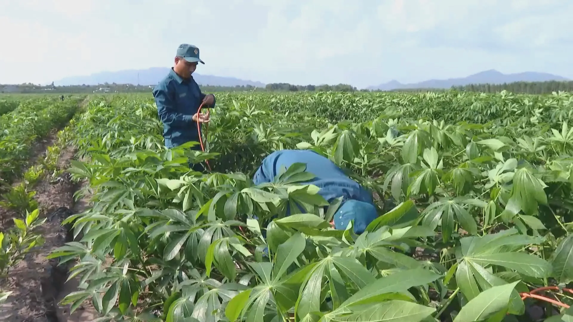 Lực lượng chức năng phối hợp Trường Đại học Bách khoa TP. Hồ Chí Minh khảo sát bằng thiết bị chuyên dụng tại 3 khu vực, rộng khoảng 26.600 m2