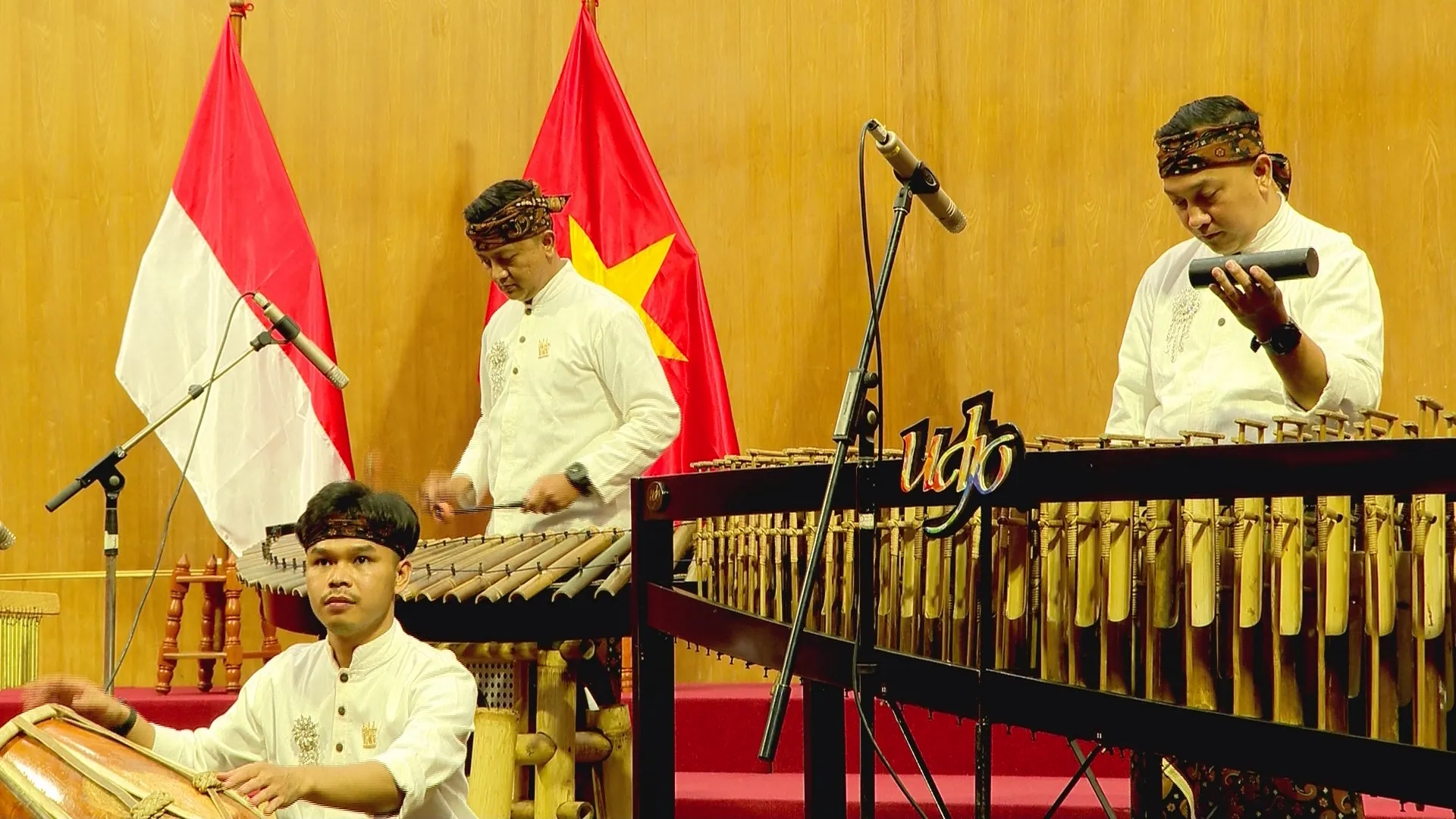 Sinh viên Việt Nam - Indonesia cất cao giai điệu về tình hữu nghị hai nước- Ảnh 3.