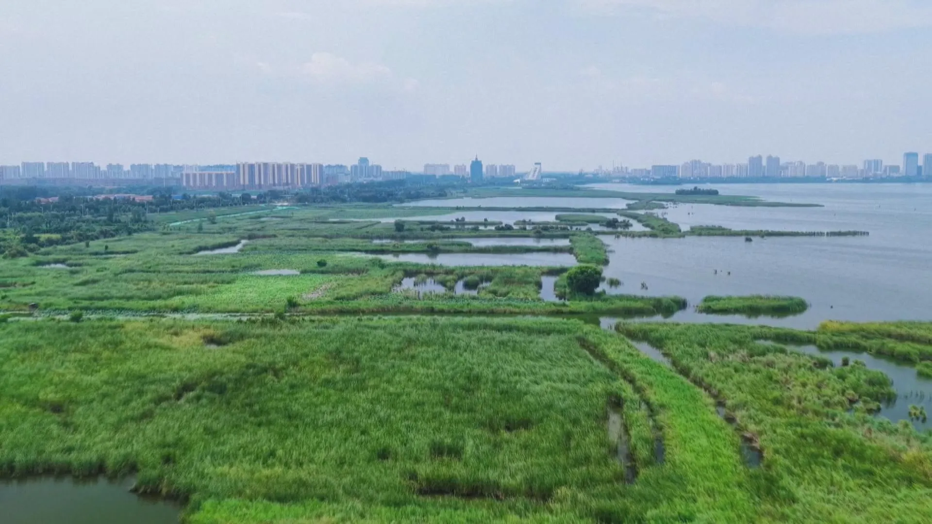 Le khoang cổ xuất hiện ở Hà Bắc, Trung Quốc - Ảnh 4.