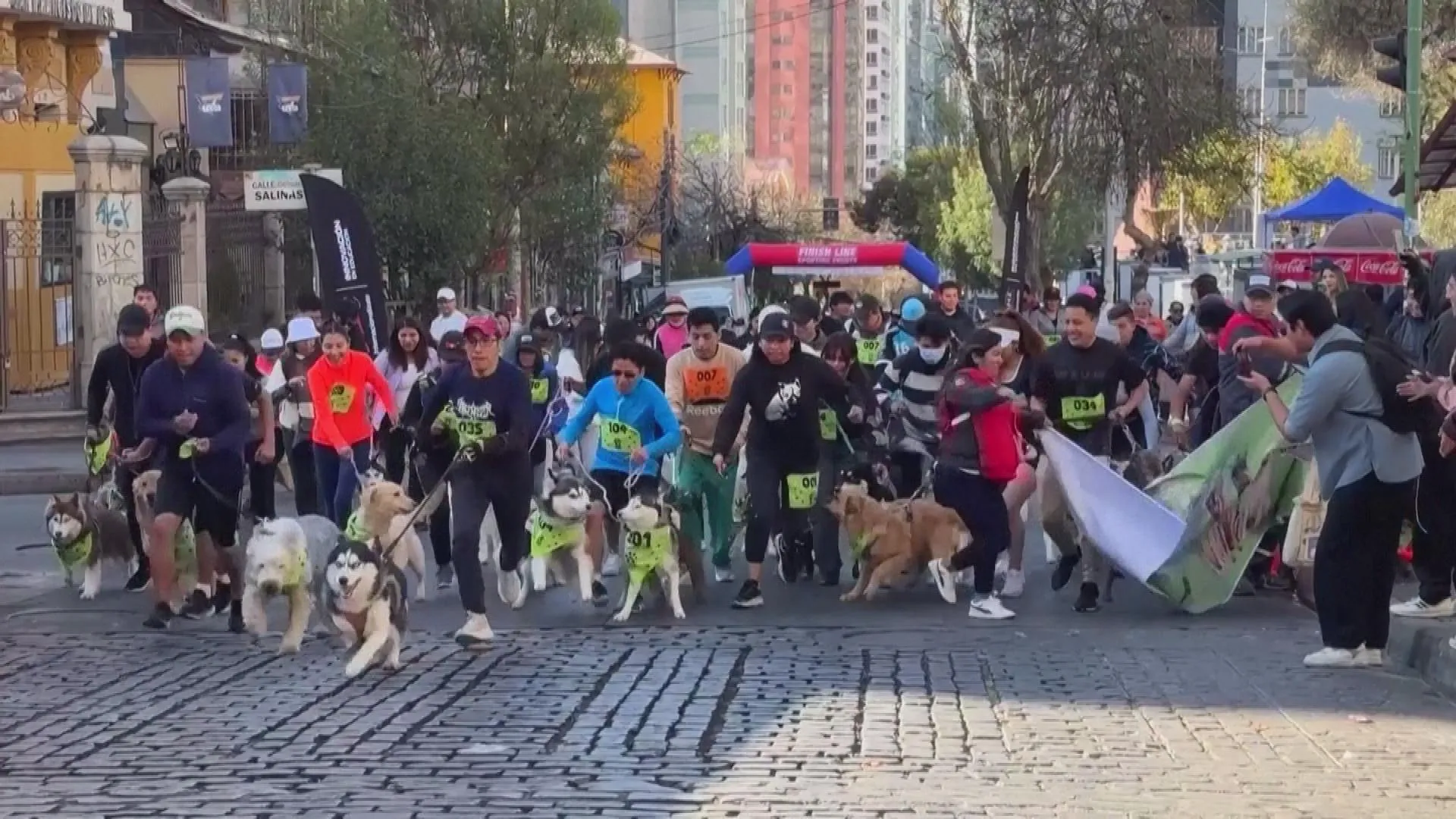 Bolivia: Lễ hội Thánh Roch dành cho loài chó - Ảnh 1.